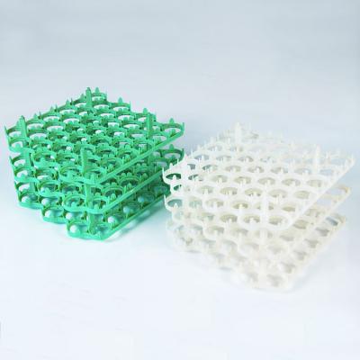 China Plastic Tray Factory Egg Packaging Tray Plastic Egg Egg Tray en venta