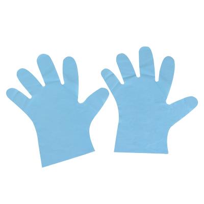 China food preparation & Serve 2022 Hot Sales Customized Compostable Gloves For Food Preparation Hygiene Household Daily Use Strong Elastic Durable Environmental GD for sale