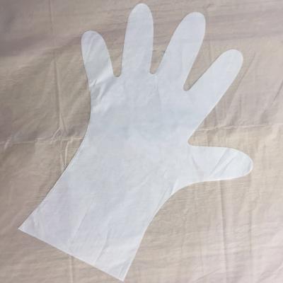 China BIODEGRADABLE Compostable Gloves - Colors All Sizing Printing - Customize for sale