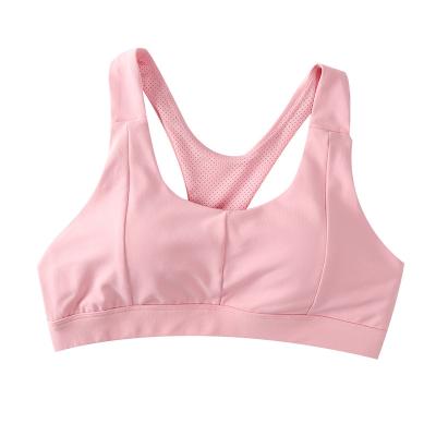 China New Sports Yoga Breathable Back Running Large Size Sports Underwear Fitness Bra Comfortable Women Bra for sale