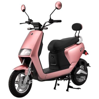 China New Fashion Two Wheel Electric Motorcycle With SDDC-1000 Lithium Battery for sale