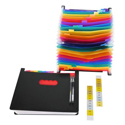 China PP Water Ripple Folder A4 Letter Size PP Plastic 24 Color Pockets Colorfuel Expanding Pouch With Handle for sale