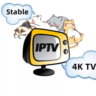 China Hot Stable Free Trial Code Panel 4K HD Reseller m3u IPTV Subscription 12 Months With xxx IPTV Subscription for sale