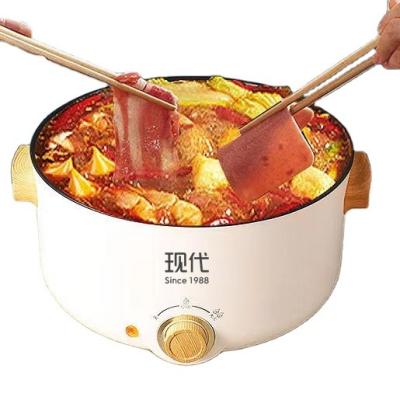 China Nonstick Electric Hot Pot Outdoor Modern Smart Frying And Cooking Pot For Household Use for sale