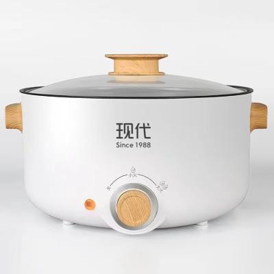 China Home Outdoor Modern Non-stick Cooker Dormitory Student Multifunctional Electric Heater for sale