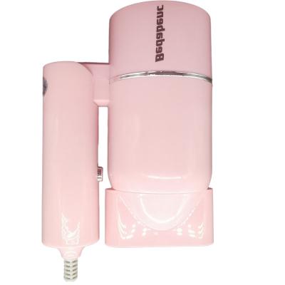 China promax and volumizer ionic hot airbrush upgraded portable pet hair hood dryer for sale