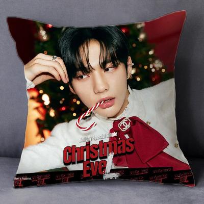 China Stray Christmas Eve Pillowcase Cushion Cover Kids Decor Sofa Cushion Wholesale KPOP Idol Home Goods for sale