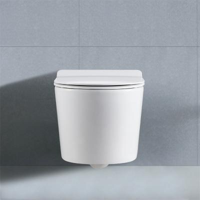 China Watermark 2022 Double-flux BINLI Modern WC Sanitary Bowl White Ceramic Rimless Ware Wall Hung Toilet for sale