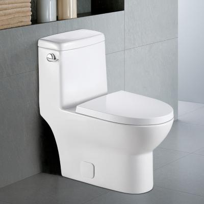 China North America Double-Flow One-Piece Ceramic Cistern Smart Sanitary Ware Strap 300mm Modern Sanitary Ware Closet Wholesale Price for sale