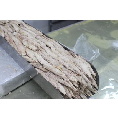 China 200-300g organic frozen bonito Tuna Loin Fish Price for sale