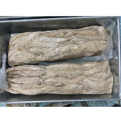 China Tuna Organic Fresh Bonito Far From Seafood 1-3kg for sale