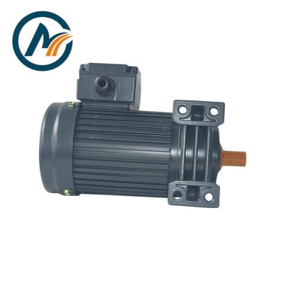 China IP44 Electric Micro Gear Reducer Shaded Pole 3 Phase Gear Motor With Brake Ch-22-400 for sale