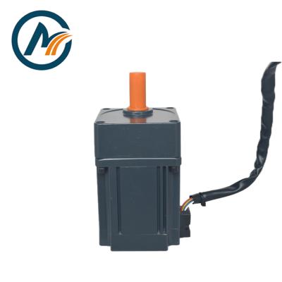 China China IP44 12V 24V 300W Brushless DC Motor for sale