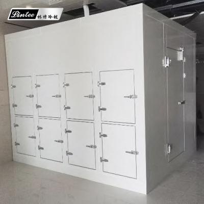 China Industrial Food Storage Container Container Meat Fish Ice Cream Freezer Commercial Customized Cold Room for sale