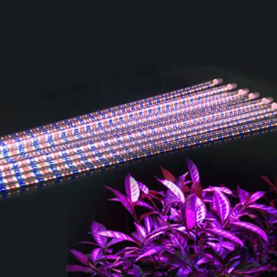 China Green House 2FT 3FT 4FT 5FT 9W 12W 18W 22W T8 Full Spectrum Glass Horticultural Led Tube Grow Light for sale