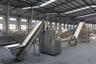 China High Processing Speed Dry Garlic Peeling Machine 300kg/H Large Scale for sale