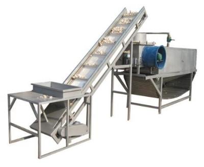 China 1200kg/H Large Capacity Garlic Separating Machine Garlic Powder Production Lline for sale