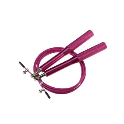 China Custom Aluminum Alloy Manufacturer Cheap Price Steel Wire Logo Heavy Jump Rope for sale