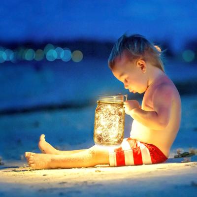 China Smart Outdoor Mordern LED Mason Jar String Holiday Light For Garden for sale