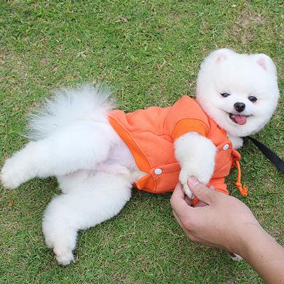 China Autumn And Winter Fleece Dog Hoodie Pure Color Stocked Hooded Pet Hoodie Dog Clothes Dog Clothes for sale