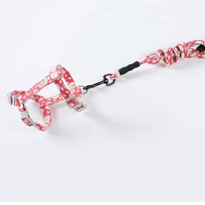 China Cat Collar Outdoor Walking Colorful Adjustable Wholesale Stocked Printing Cute Cat Leash And Harness for sale