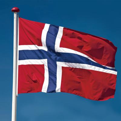 China FLYING Flags All Country Norway Wholesale Splicing Flag for sale