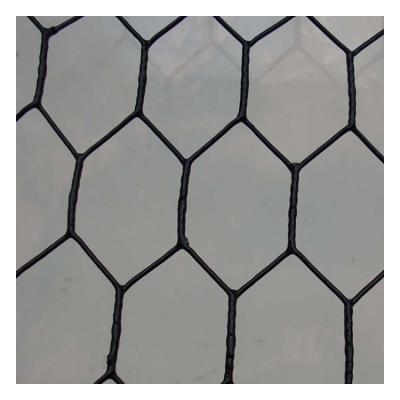 China Professional Twill Weave Netting PVC Coated Hexagonal Wire Mesh Galvanized for sale