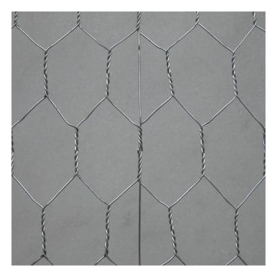 China Twill Weave Factory Supply Galvanized Hex Mesh Chicken Coop Wire Netting For Sale for sale