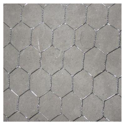 China Twill Weave Made of China Chicken Wire Rabbit Wire Mesh Galvanized Hex Netting for sale