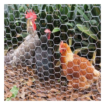 China Twill Weave Galvanized Chicken Rabbit Farm Hex Wire Mesh Roll Mesh Fence for sale