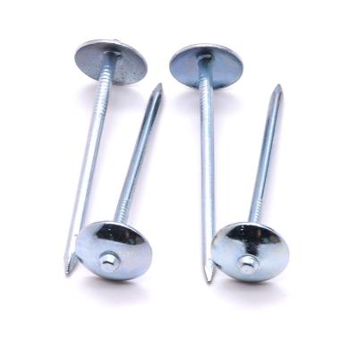 China Smooth Cap Shank Galvanized Roofing Nails Stainless Roof Nails for sale