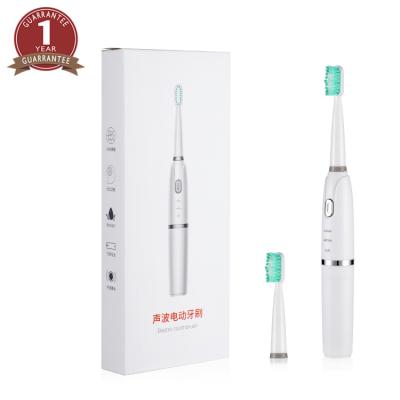 China OEM Battery Operated Custom Vibration Led AAA Battery Operated Sonic Electric Toothbrush for sale