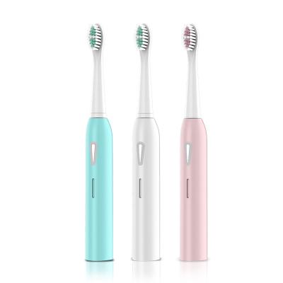 China Battery Powered Waterproof Sonic Vibration Electric Toothbrush with 6 Speeds for sale