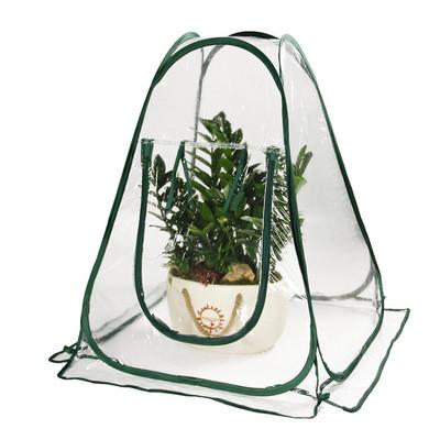 China Clear Transparent Vegetable Growing Outdoor Backyard Portable Garden Plant Tent Grow Plastic Mini Pop Up Greenhouse for sale