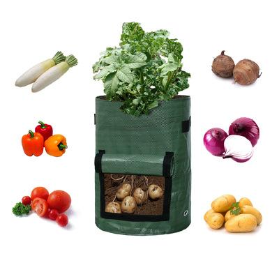 China Raytop vegetable grow garden potato planting bag pe material vegetable grown planter bag potato vegetables grow bag for sale