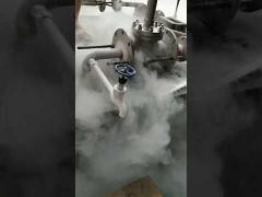 LN2 TEST FOR THE CRYOGENIC GLOBE VALVE