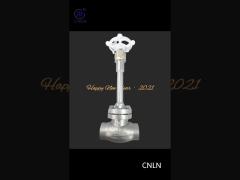 O2 N2 SS304 PN40 Flange Type Cryogenic Globe Valve Long Stem