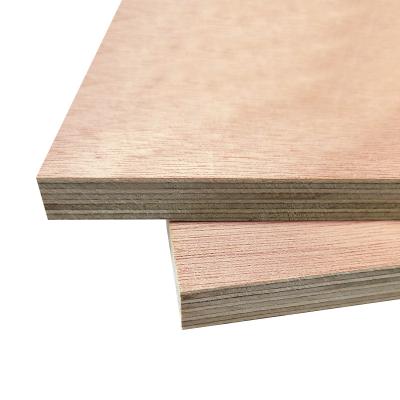 China Modern High Quality Phenolic Acacia Core 12mm 15mm 18mm Okoume Faced Plywood for sale