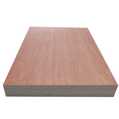 China Modern hot sale 9/12/15/18 okoume faced commercial plywood B/B BB/BB for sale