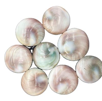 China China Manufacturers Wholesale Natural Conch Shell Pendant Sun Decoration Home Crafts for sale