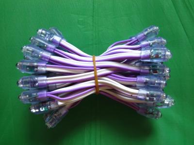 China IP68 waterproof outdoor led string light Violet 2 years warranty for sale