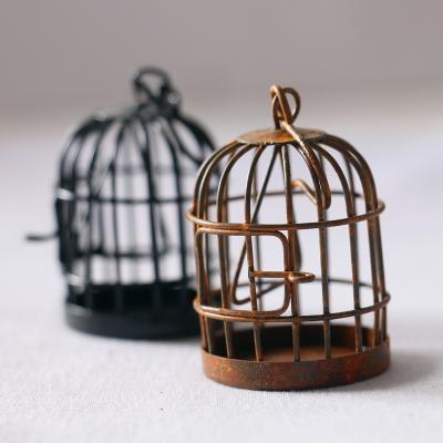 China Toy Dollland Dollhouse Wire Crafts electronic ornaments strange birdcage form creative design fashion home decoration ornaments for sale