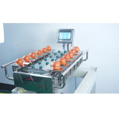 China AT12 semi-automatic desktop food mixing weigher for frozen asparagus, sea fish, grape fruits for sale