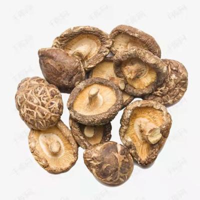 China Factory Direct Wholesale Dried High Capacity Organic Delicious Shiitake Mushrooms for sale