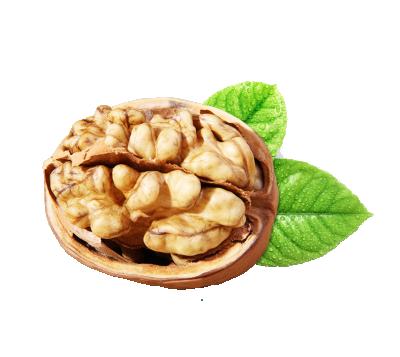 China Best price dry oganic nuts with thin shell or walunts without china shell price for sale