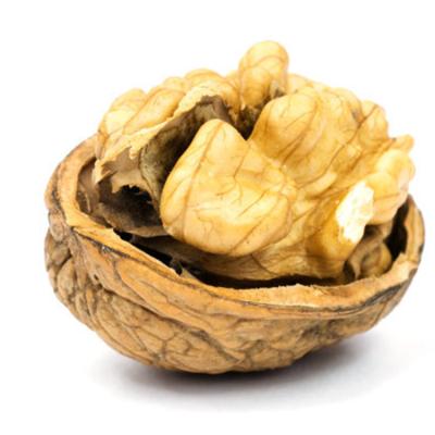 China Rich In Nutrition Pure Natural Chinese Fresh Whole Nuts Dried Organic Solid Walnut for sale