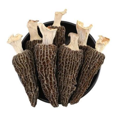 China Health Dried High Quality Morchella Dried Wild Nightshade Mushroom From China Supplier for sale