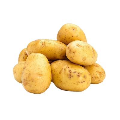 China Factory fresh hot sale good prices fresh fruit and vegetables wholesale potatoes from China for sale