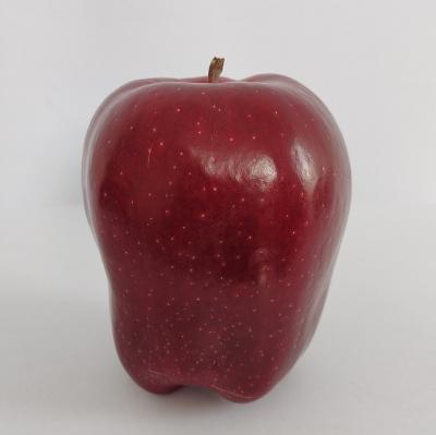 China Factory produce various fresh red ripe huaniu apple fresh huaniu apple for sale