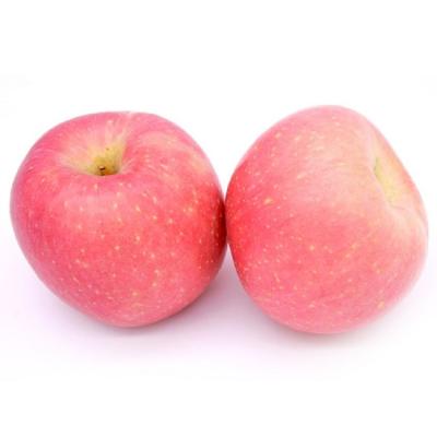 China Fresh Trader Direct Selling Custom Design Red Fuji Fuji Apple Fresh Fruit Red Apples for sale